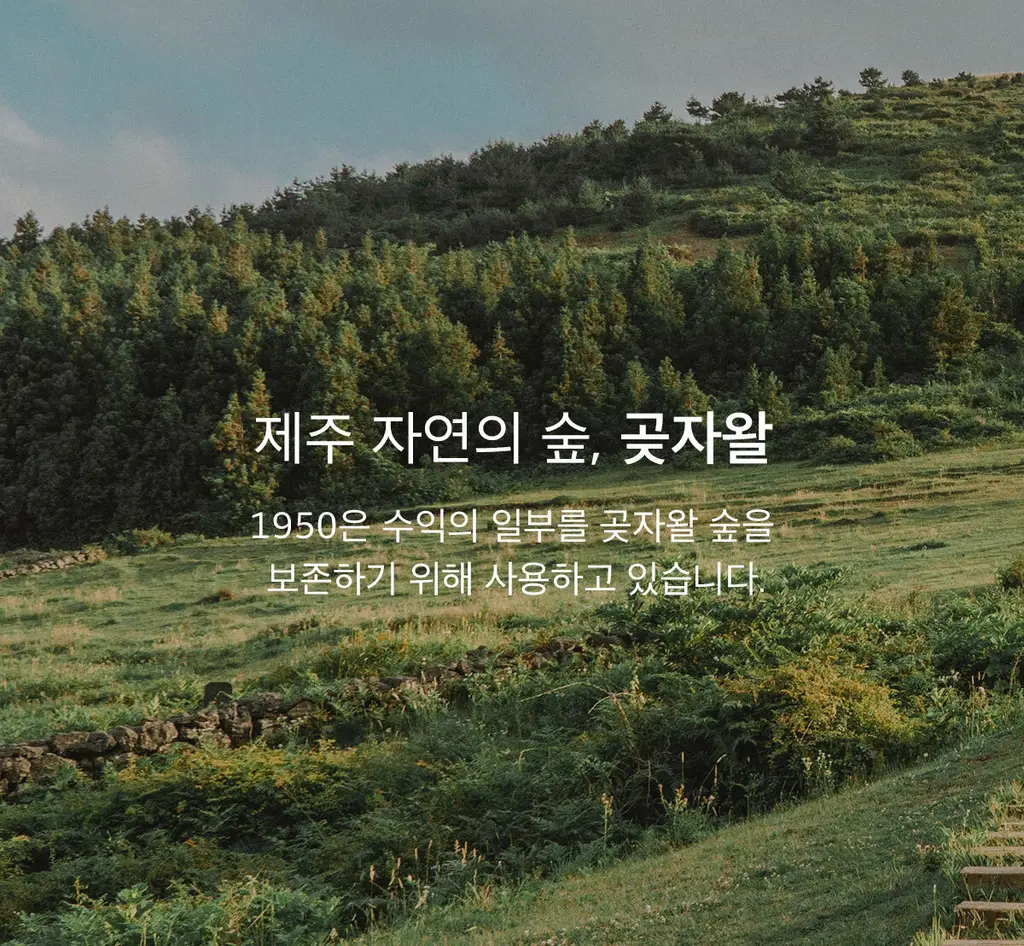 [무불소] 1950 제주 치약 기획 100g*5개입 상세페이지 12